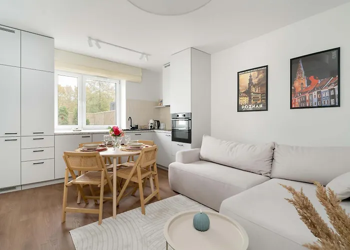 Klimatyzowane Apartamenty W Poznaniu Z Biurkiem Do Pracy Zdalnej By Noclegi Renters